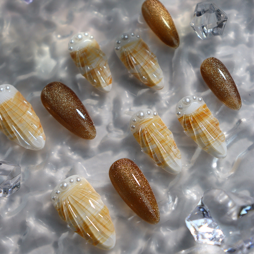 shells on the beach